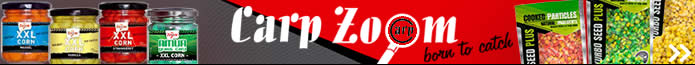 Carp Zoom