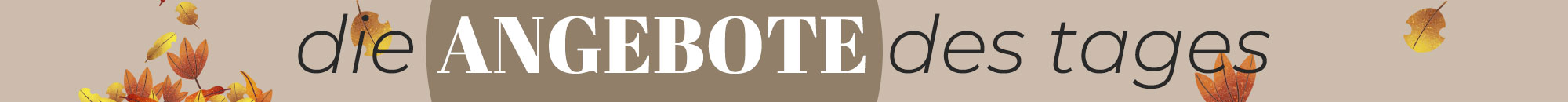 Die Angebote des Tages