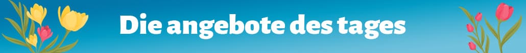 Die Angebote des Tages