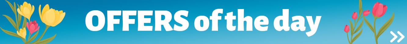 Deals Days