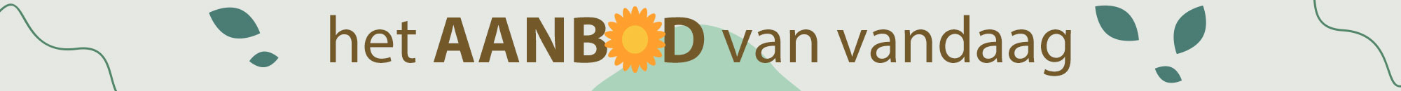 Aanbod van de dag