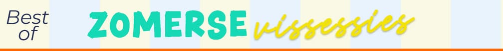 Zomer visreis