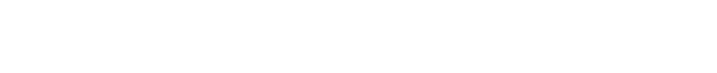 VF Bagagli & Stoccaggio