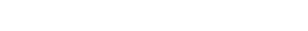 VF Elettronica
