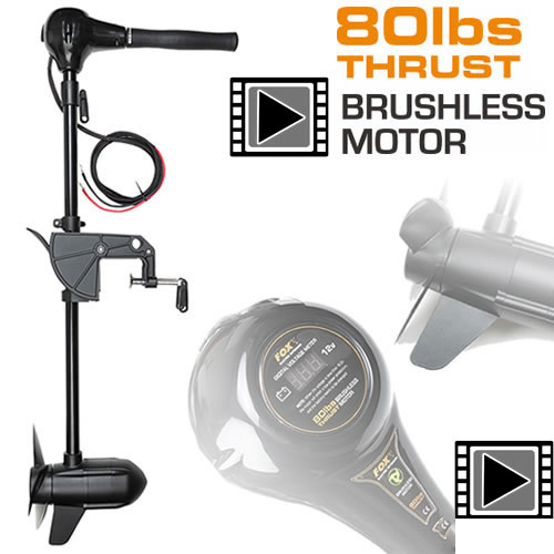 Fox Brushless Motor 80lbs 12V BL Engine