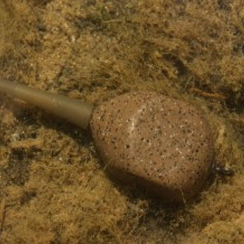 Plomb Korda Square Pear In Line