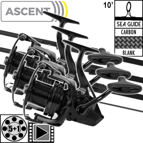 Ensemble Avid Carp Ascent 10' 3.5lbs Full Shrink Revolve 8000FD (les 3)