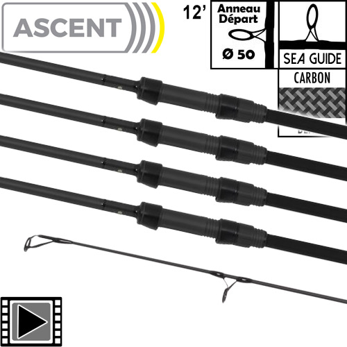 Canne Avid Carp Ascent 50mm 12' 4lbs Full Shrink (les 4)