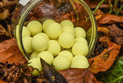 Pop Ups CC Moore Elite Citrus Zest 14mm (par 35) -DYNAMITE BAITS 02e75967b5f9564d8492c98194b8761657d0fd89 90265 amb1
