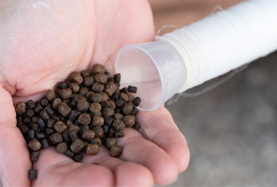 Pellets