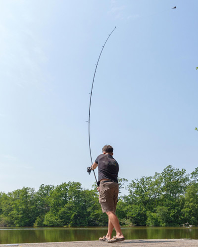 Canne Avid Carp Ascent 50mm 13' 3.5lbs Full Shrink - description 11