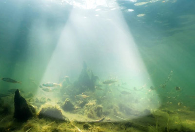 Sondeur GPS Deeper CHIRP 4+ - description 12