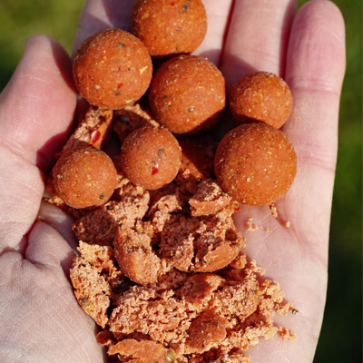 Bouillettes Radical Smashed Fish 16mm 1kg -DYNAMITE BAITS 3dd63367c4ca220fed59fc9e37cddbc0adc8b4d1 241013amb2