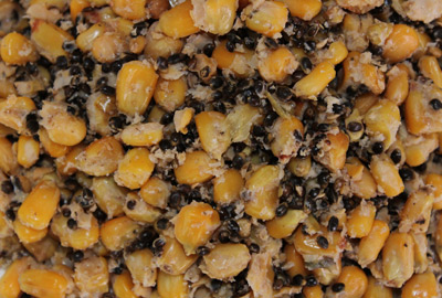 Graines Pro Elite Baits Maïs & Chenevis 4kg -Promos Lignes Magasin 4050b73a5e1c0e946281860ba2c75c14012d6c7b 243732amb1