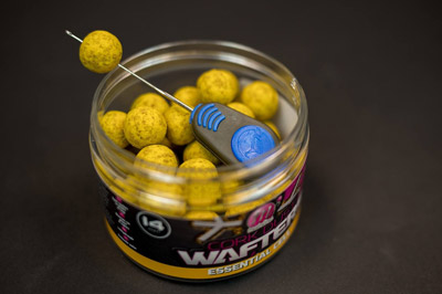 Korda