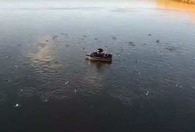 Bateau
