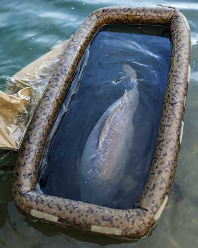 Matelas de Réception Solar SP C-Tech Floatation Cell - description 11