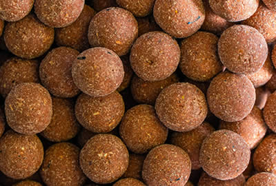 Bouillettes