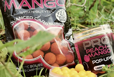 Bouillettes Starbaits Probiotic Peach & Mango 20mm 1kg -DYNAMITE BAITS 4e6f0c306ea7b2dcb40be723f12630f714c090d0 243016 amb2