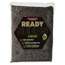 graines-starbaits-ready-seeds-hemp-3kg