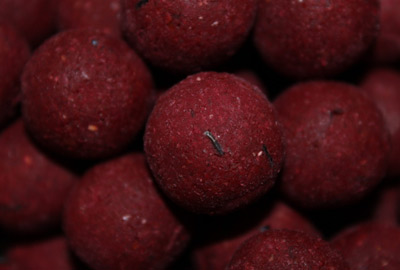 Boilies