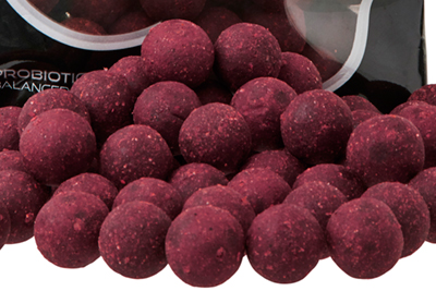 Bouillettes Starbaits Probiotic Strawberry & Spice 20mm 800g - description 01