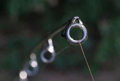 Canne Strategy ST1 12' 3.25lbs -PROLO Magasin 6a4488abe5d36548bc00416a0830083cc9086b73 251594amb9