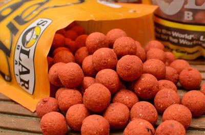 Pack Appâts Solar Club Mix (Squid & Octopus) -DYNAMITE BAITS 6be6b3fd08039acea9d40431c88bd4ee5d14576e SC81AMB4