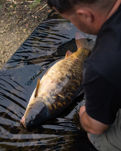 Korda