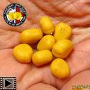 enterprise-tackle-sinking-maize-x8