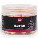 mainline-fluoro-pink-wafters-12x15mm-iso-fish