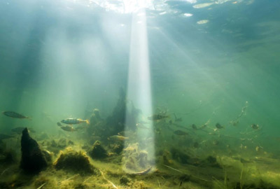 Sondeur GPS Deeper CHIRP 4+ - description 14