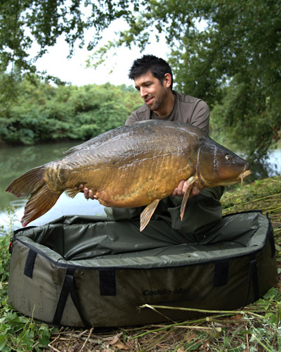 Boilies
