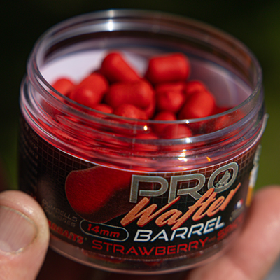 Dumbells Équilibrés Starbaits Probiotic Strawberry & Spice 14mm 50g - description 01