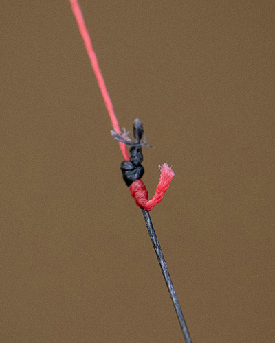 Tête de Ligne Spomb XD Shock Leader Black 0.26mm 50m - description 06