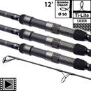 canne-daiwa-emblem-carp-xt-12-3-75lbs-les-3