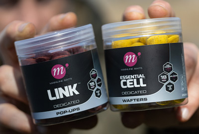 Pop Ups Mainline Iso Sweet 15mm - description 01