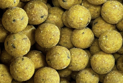 Bouillettes CC Moore Live System Continental 21mm 5kg - description 02