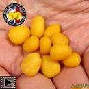 enterprise-tackle-popup-maize-x10