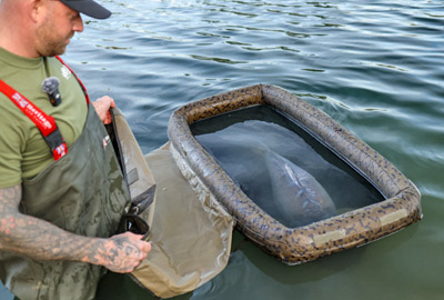 Matelas de Réception Solar SP C-Tech Floatation Cell - description 01