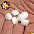 enterprise-tackle-bean-lupino-bianco-grande-x6