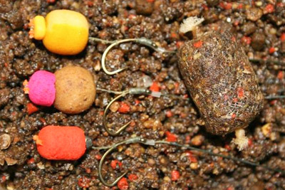 Graines Mainline Power Particle The Pulse & Cell 3kg 2 Graines Mainline Power Particle The Pulse & Cell 3kg -DYNAMITE BAITS e98b523fd632d50f48f5692c18768ca13beb87e1 GRAINE AMB
