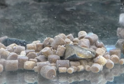 Pack Appâts Dynamite Baits Monster Tiger Nut - description 10