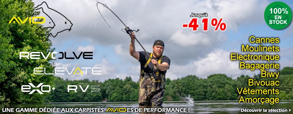 Avid Carp