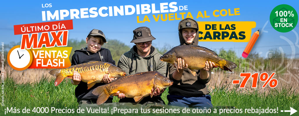Es hora de volver al cole para las carpas.