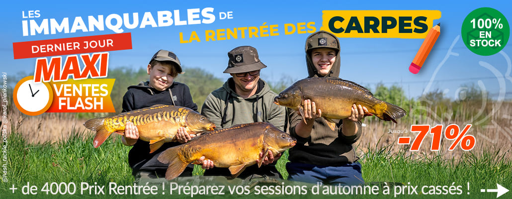 C'est la rentrée des carpes