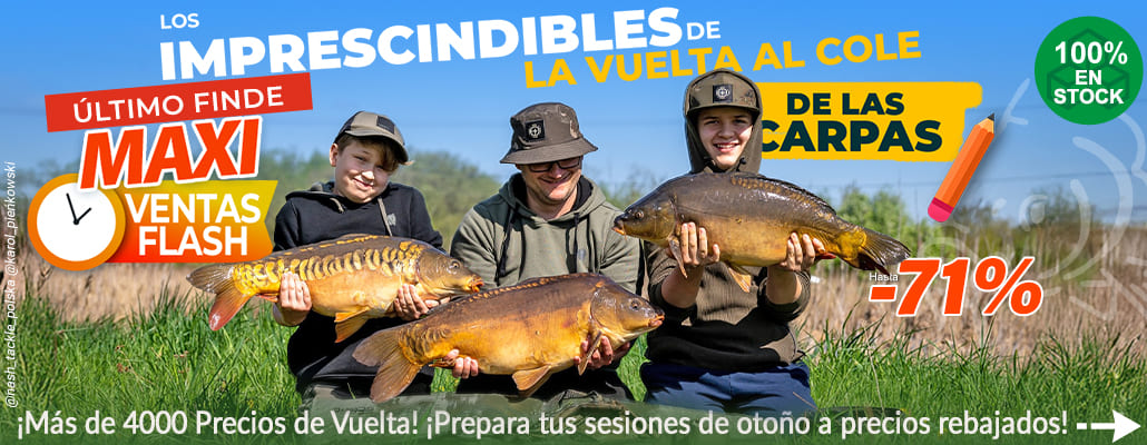 Es hora de volver al cole para las carpas.