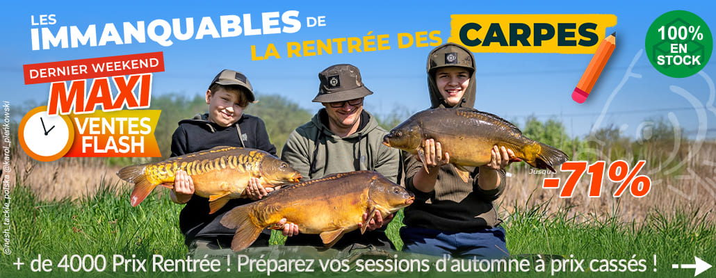 C'est la rentrée des carpes