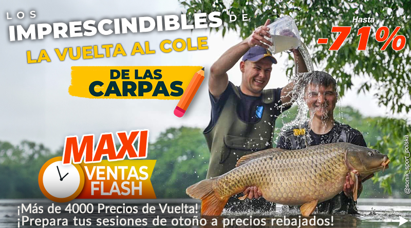 Es hora de volver al cole para las carpas.