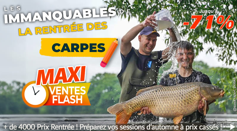 C'est la rentrée des carpes